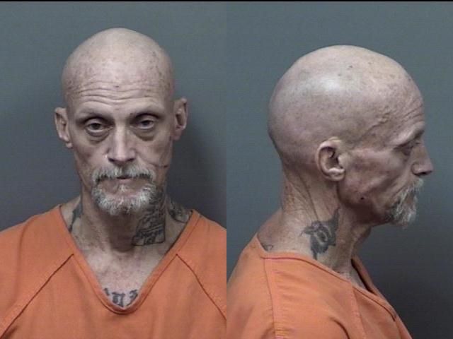 Shannon Michael arrested July 2 on felony charges of possession of a firearm by a convicted felon, grand theft auto, and grand theft of a firearm.